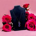 دلاية اماتيست